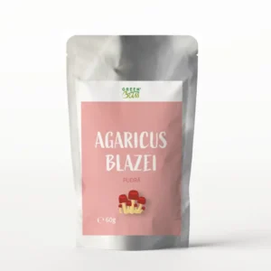 Agaricus blazei pudra 60g Green Bliss